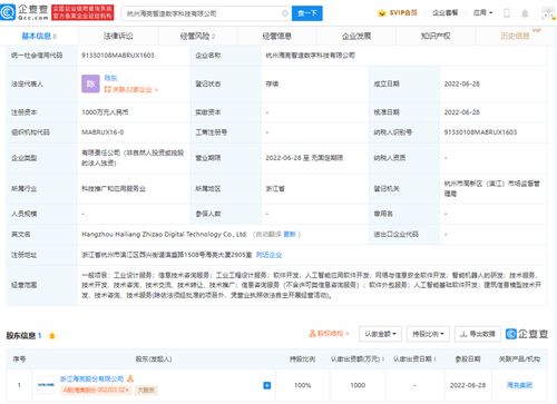軟件外包服務 高效、靈活與創新的技術合作伙伴